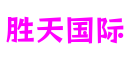 河南省洛阳市胜天国际智能娱乐有限公司